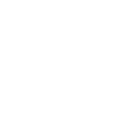 カテゴリー見出し